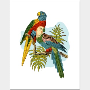 Two Colorful Parrots Tropical Plant Illustration Posters and Art